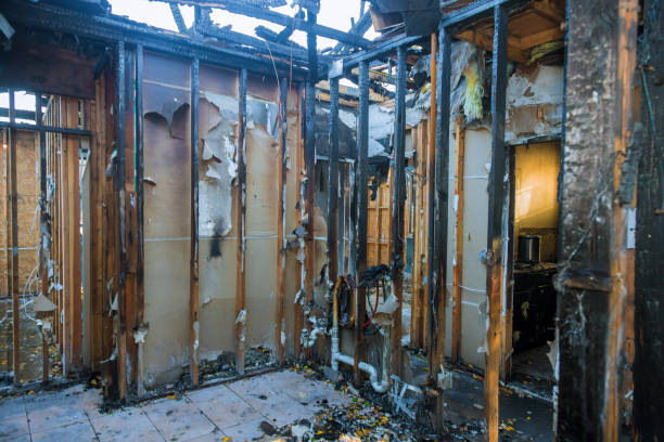 Professional Fire Damage Removal technician working in Leechburg, PA